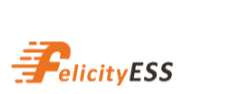 Логотип Felicity Solar
